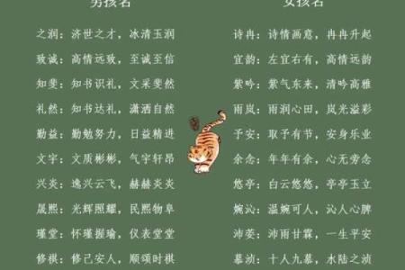 煜起名字的秘密：如何为宝宝起个寓意深远的名字