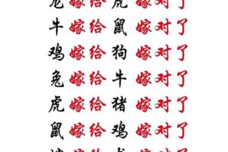 猪龙配对，天作之合？