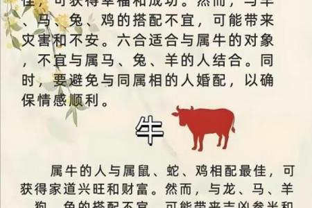 2024生肖婚配秘籍：最适合你的另一半在这里