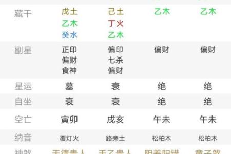 日天干木背后的秘密，如何看懂你的八字