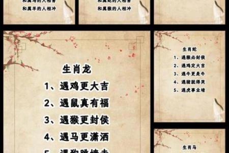 小眼生肖大揭秘：谁是你命中的贵人？