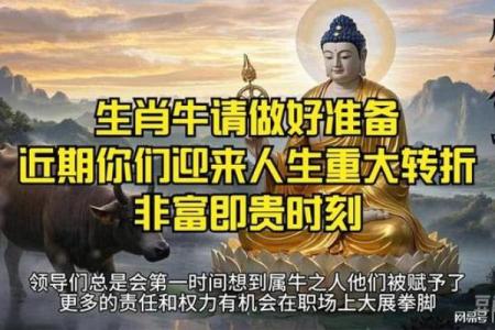 生肖轮回：回头是岸，揭秘你的生肖命运转折