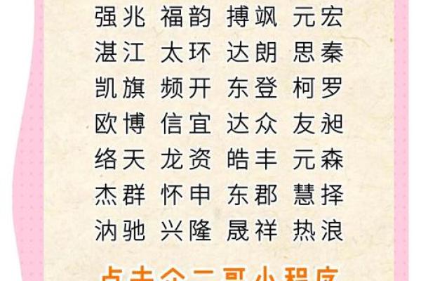 毕节最受欢迎的起名公司，专家为你定制专属名字