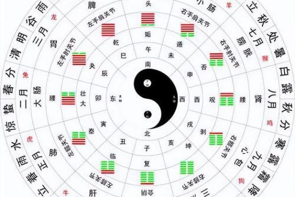 乙天干生肖的命运解析：揭开命理中的神秘面纱