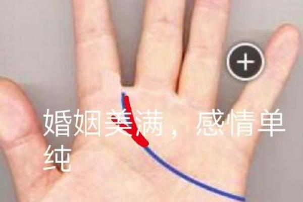手相揭秘：婚姻线越细，爱情运势越旺？揭秘神秘手相密码