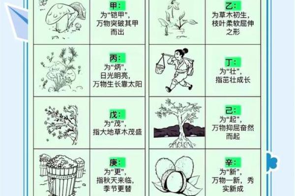 轻松掌握天干地支，破解命运的密码
