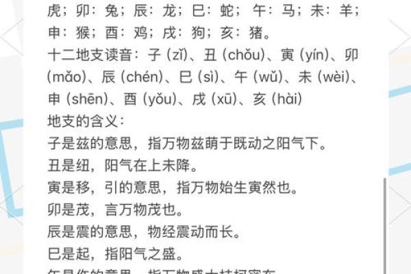 轻松掌握天干地支，破解命运的密码