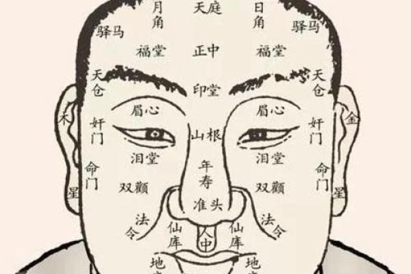 痣中藏宝：揭秘男相下巴痣的魅力所在