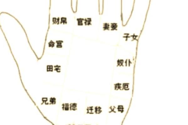 手相揭秘：掌握命运的秘密，揭秘你的运势与性格