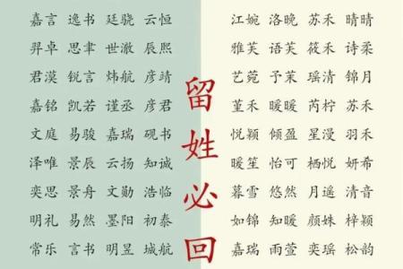 为宝宝起个吉祥的名字，选嘉字绝对不后悔