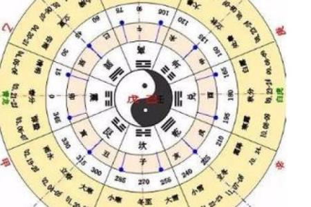 乙天干生肖的命运解析：揭开命理中的神秘面纱