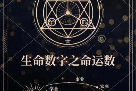 揭秘天乙拱命格：财运亨通、福星高照的神秘命运密码
