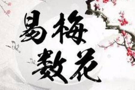 梅花易数排盘占卜，精准解读你的运势与人生选择