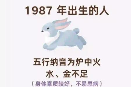 56属兔大揭秘：五行命理运势全解析