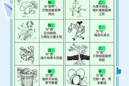 轻松掌握天干地支，破解命运的密码