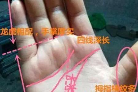 揭秘无懈可击的手相秘密：一指间掌握运势