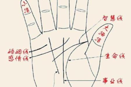 揭秘左手佛眼：手相中的神秘财运密码