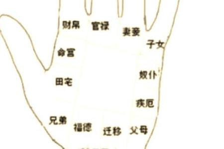手相揭秘：掌握命运的秘密，揭秘你的运势与性格