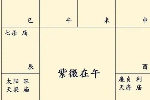 揭秘年命卦：你的命运密码，一卦定终身
