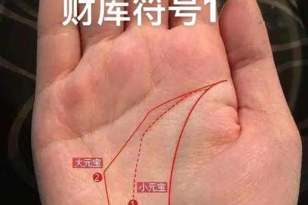 刘德华手相揭秘：财运亨通的秘密武器