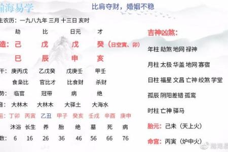 戊辰龙腾海，己巳鸟语新