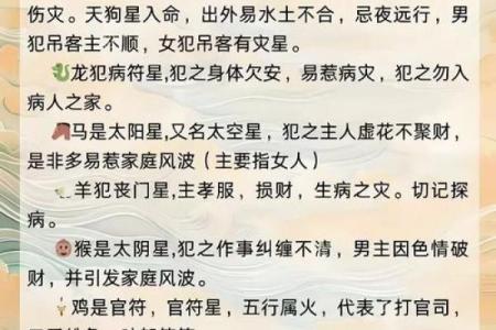 1995年出生的属啥命？揭秘爆款运势解析