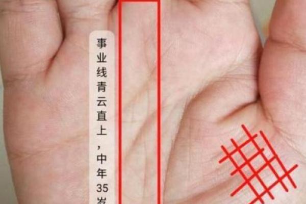 手背有痣竟是财运亨通？揭秘手相中的神秘预示