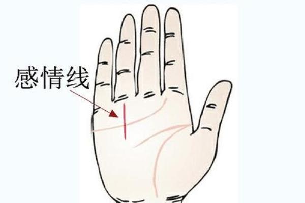手相揭秘：感情线深浅预示爱情运势，快来一探究竟