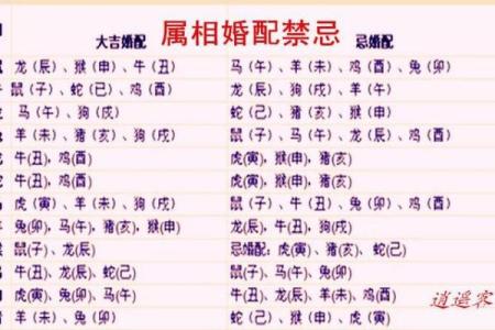属相配对达人秘笈：速来找到你的完美搭档