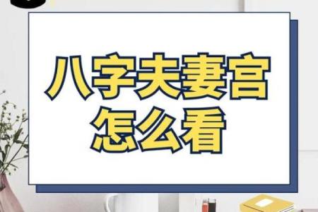 从命理夫妻宫看婚姻运势，婚姻幸福指数一目了然