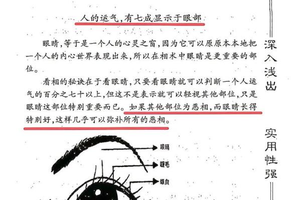 一眼识真伪：揭秘面相背后的读书智慧