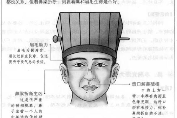 一眼识真伪：揭秘面相背后的读书智慧