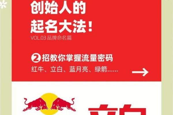 免费起名，开启企业品牌之路！