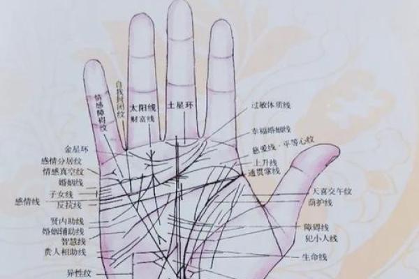 手相揭秘：太阳线精准预测，一招算出你的真实年龄