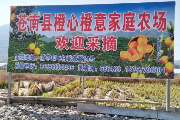 农场公司名字推荐，轻松吸引客户