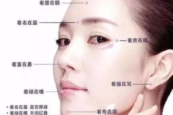 地阁斜映富贵相：揭秘面相中的秘密财富密码