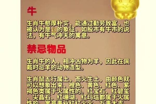 生肖墙：揭秘十二生肖背后的神秘力量