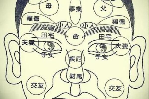 面相揭秘：于旭的面相特点，教你一眼识人