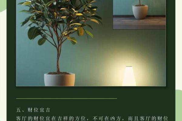 家居风水秘籍：布局招财旺运，揭秘你的家居风水改造之道