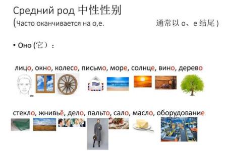 用中性词为公司起名，突破传统性别限制