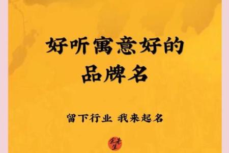 免费起名，开启企业品牌之路！