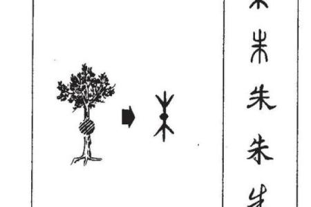 朱姓宝宝名字大全，精选最有诗意的名字