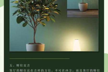 家居风水秘籍：布局招财旺运，揭秘你的家居风水改造之道