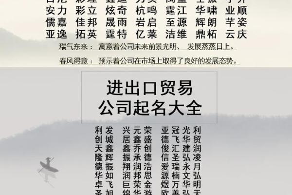 公司起名测试：精准评分，打造完美企业名称
