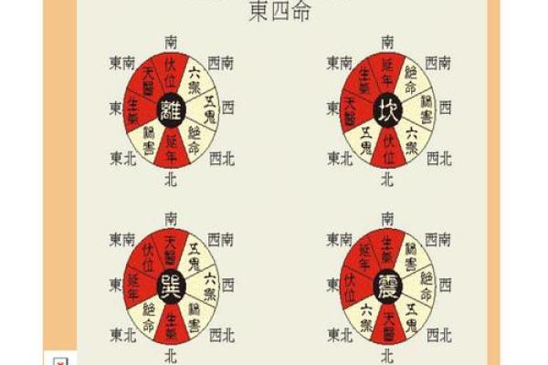 紫薇运势曲线排盘，揭示你未来的财富与命运走向