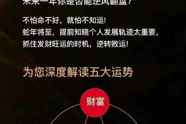 紫薇运势曲线排盘，揭示你未来的财富与命运走向