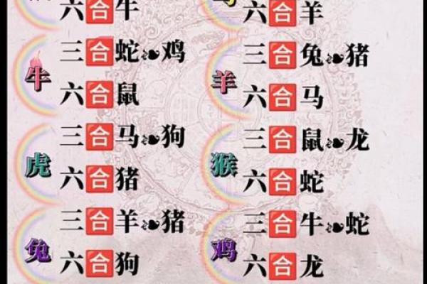 月影生肖，生肖月影之谜
