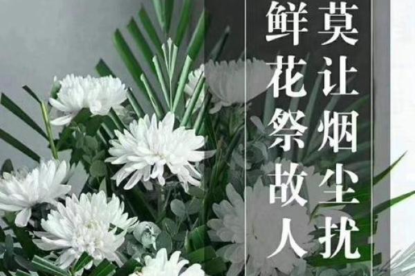 清明祭扫新体验：传统仪式与现代科技交融的哀思