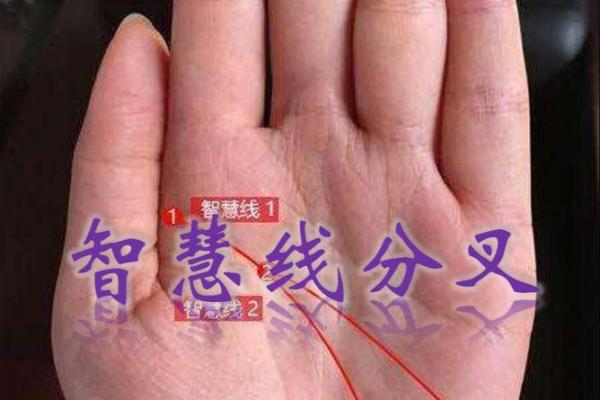 智慧线起得高，运势必定旺揭秘手相智慧线，带你走进神秘命理世界