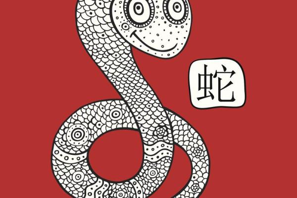 熊猜生肖：揭秘十二生肖背后的神秘传说